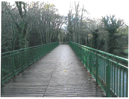 Passerelle piétonne en bois avec garde-corps métallique vert traversant un bois