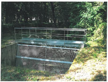 Passerelle métallique avec garde-corps au-dessus d'un tamis sur un cours d'eau